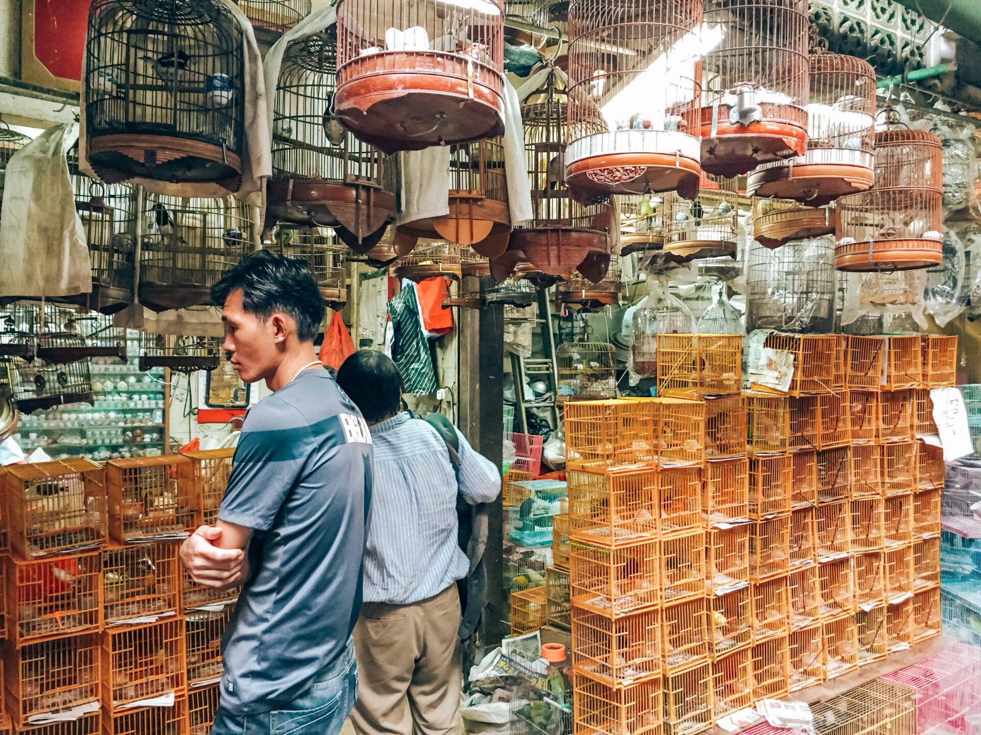 Hong Kong - bird market