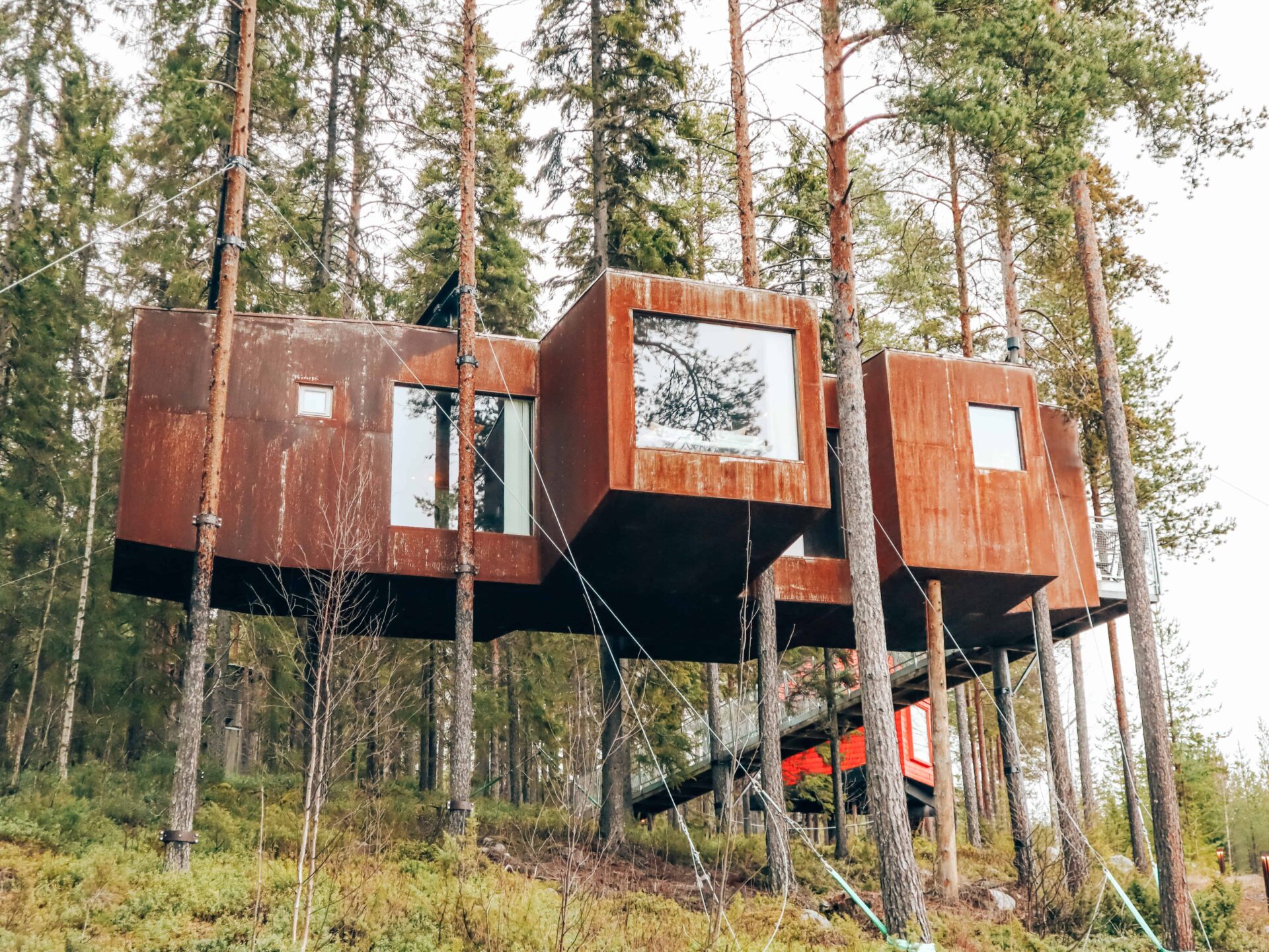 Zweden - Treehotel