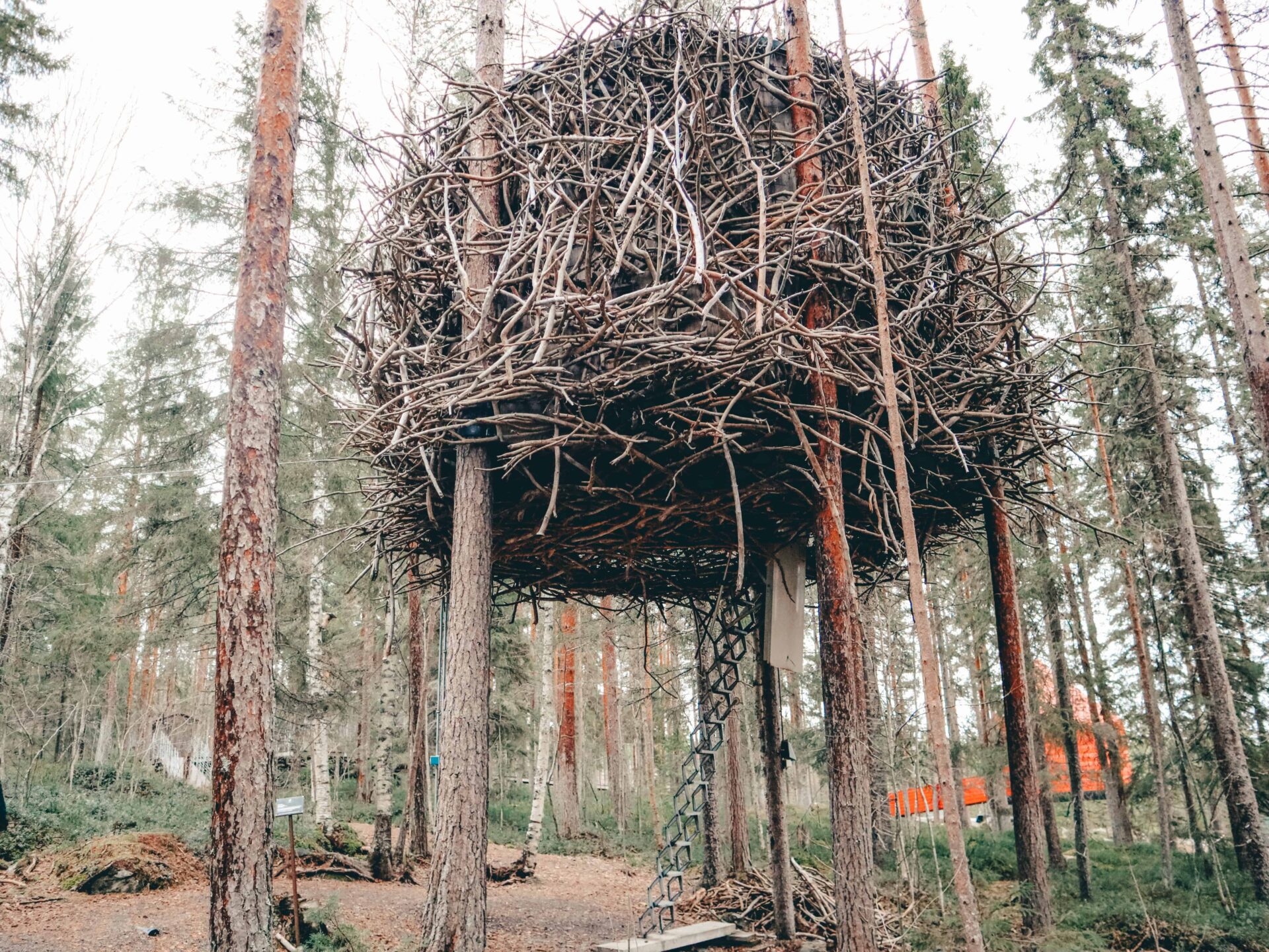 Zweden - Treehotel