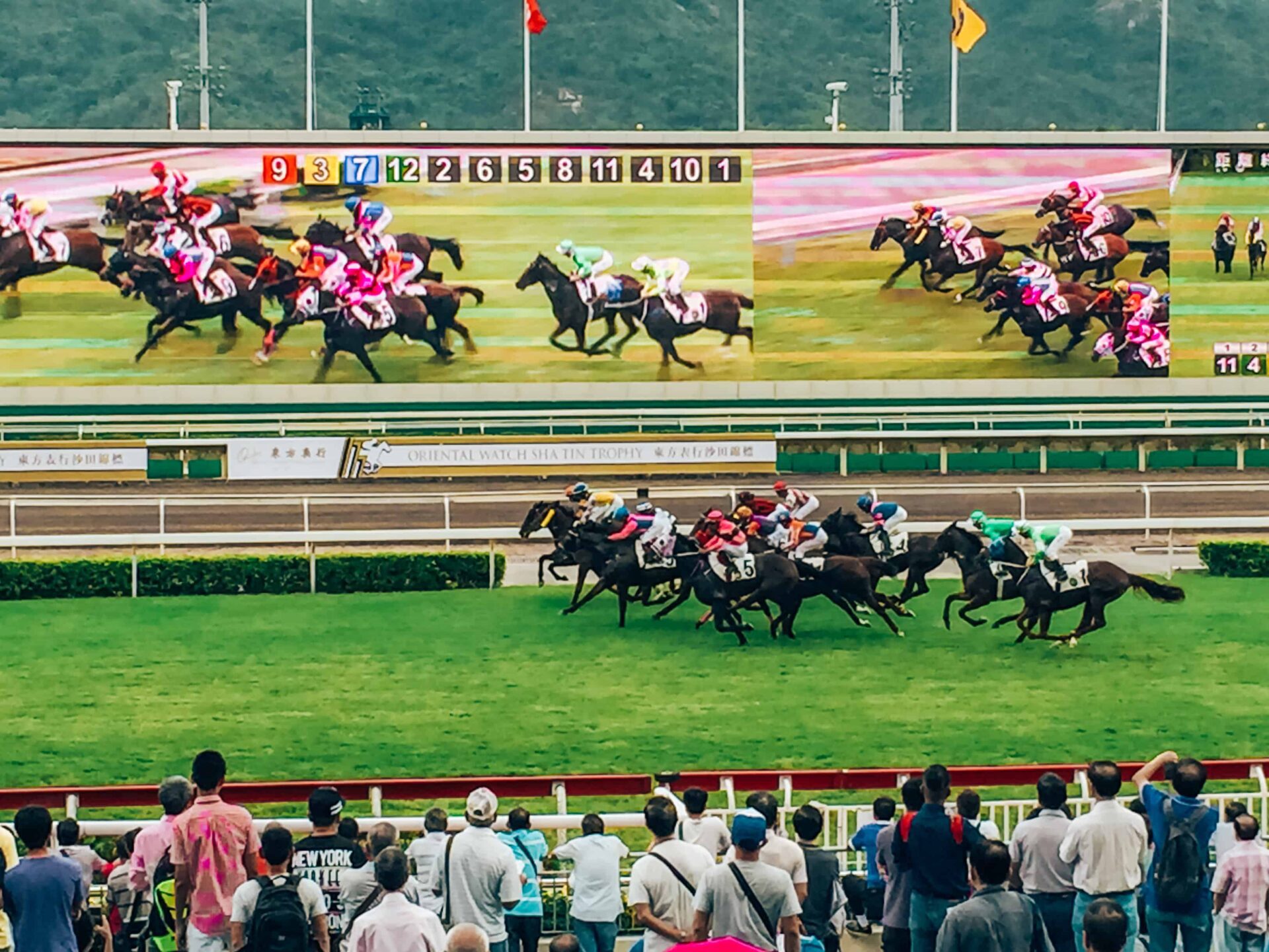 Hong Kong - paardenrace